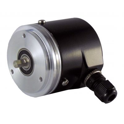 PCA INSE Encoder